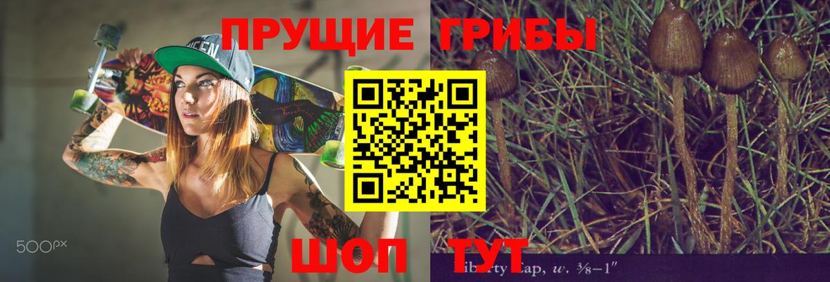 Егорьевск  Галлюциногенные грибы ЛСД  Галлюциногенные грибы прущие грибы  Вход с VPN 