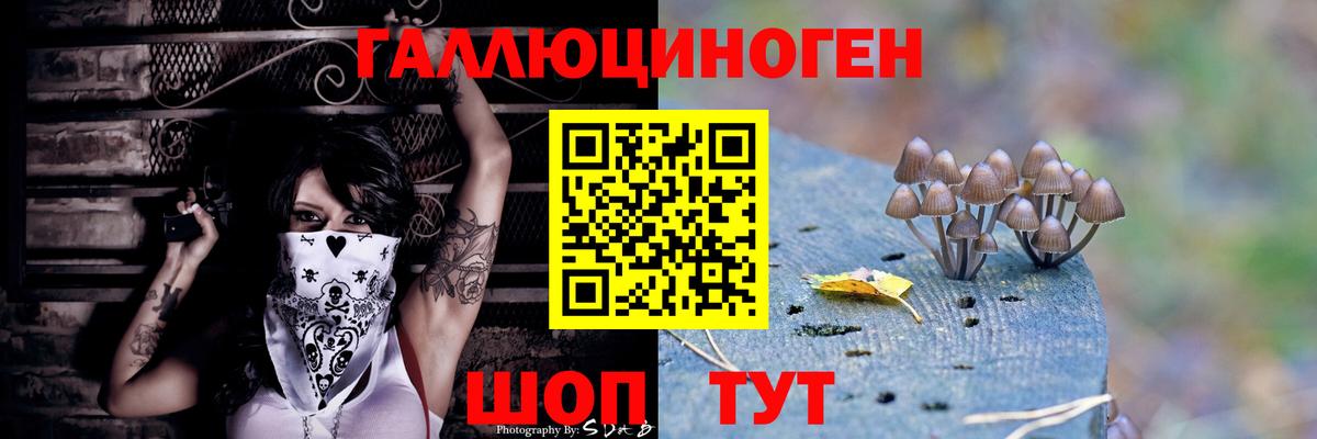 Псилоцибиновые грибы GOLDEN TEACHER Егорьевск